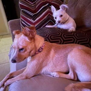 Meet your Posher, Delia